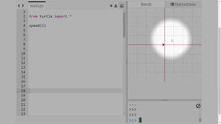 Python Turtle - GOTO Coordinates and Drawing with the PEN