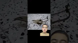 مصباح علاء الدين السحري للبيع ضحك ضحكة Funny أصدقاء اكسبلور عراق Fyp الشعب الصيني ماله حل 