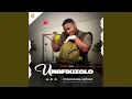 Download Lagu Nginsizwa