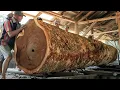 Lagu The largest and most expensive giant tree || The process of cutting into luxurious boards