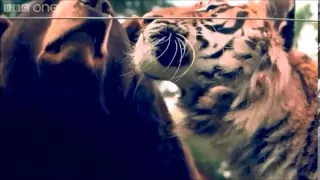 natural beauty song original 