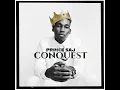 The Message - Prince Saj