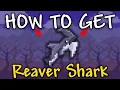 How to Get Reaver Shark in Terraria Reaver Shark Terraria