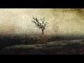 RIVERSIDE - River Down Below (Album Track)