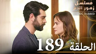 الحلقة 189 مسلسل زهور الدم مدبلج بالعربية Kan Çiçekleri 