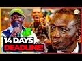 Lagu 14 DAYS LEFT Gachagua WARNS Ruto of Mass PROTESTS |Plug Tv Kenya