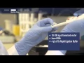 How to achieve fast and efficient ligation