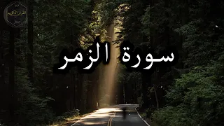 سورة الزمر كاملة قراءة خاشعه للقارئ اسلام صبحي 