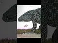 Lagu Dinosaurs weren’t the only giant reptiles… #prehistoric #reptiles #dinosaur #extinct #titanoboa
