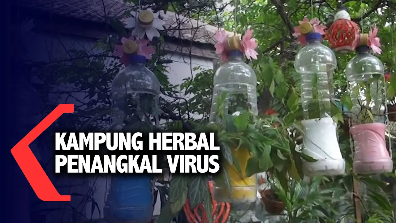 Riset Obat Herbal untuk Pengobatan Covid-19. 