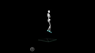 Squat jump simulation with OpenSim Moco