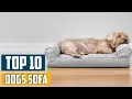 Top 10 Best Sofa for Dogs in 2025 Reviews Prices Where to Buy