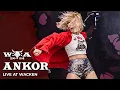 Download Lagu Ankor - Live at Wacken Open Air 2024