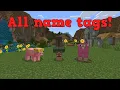 All special name tags in minecraft