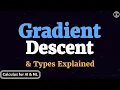 Gradient Descent Batch Gradient Descent Stochastic Gradient Descent Mini Batch Gradient Descent