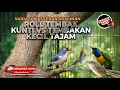 Lagu 🔴 Live Masteran Terbaik Murai Batu 2026 Cucak Cungkok Gacor Kenari Sejalur Nembak RPM Gacor Prenjak