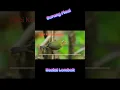 Download Lagu Suara Burung Pleci Kecial Lombok