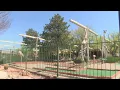 Albuquerque native sparks new push to bring back Putt Putt
