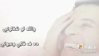 هانى شاكر ولا لو سالوني دندنها