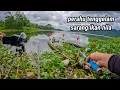 Lagu SAYA MANCING IKAN NILA DI DEKAT PERAHU TENGGELAM IKANNYA BANYAK SEKALI || mancing ngantang