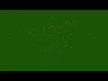 Free Confetti Explosion Effect Green Screen Black Background 4K No Copyright