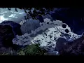 the national & taylor swift - the alcott (slowed + reverb)