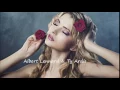 Dream On -  Albert Lennard & Ty Ardis