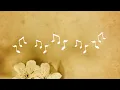 Boy - Timmy Cruz (Lyrics)