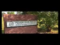Wikipedia Georgia State Prison