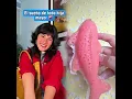 Download Lagu 🤣👌👌👌2025 pov Must-Watch Crazy Clips Compilation #humor #fypシ #pov #fyp #foryou 😍😜