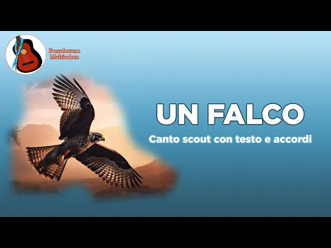 Download MP3 Un falco - canto scout con testo e accordi