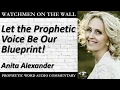 Let the Prophetic Voice Be Our Blueprint - Powerful Prophetic Encouragement from Anita Alexander