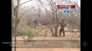 Caalaa Bultumee 2015 Maaster Pilaanii 