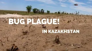  s1 eps 90 bug plague in kazakhstan