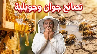 نصائح وارشادات تربية النحل الشهر ستة و سبعة من سنة      تابع لتستفيد دندنها
