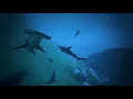 ARK Additional Creatures Mod - Trailer