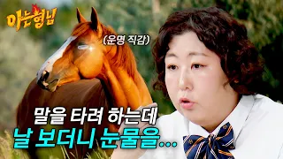 ＂말이 만화처럼 눈물을 뚝뚝...＂ 신기루 보고 미래를 예견한 말🤣 | 아는 형님 542회 | JTBC 260905 방송