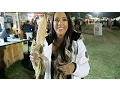 Cornbelly s Halloween Festival