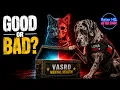 The Potential VASRD Mental Health Update 2026 The M21-1 Problem No One s Talking About