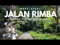 Lagu Mengenal Jalan Rimba dengan Air Terjun Eksotis di Hutan Hujan Tropis Jawa
