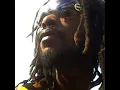 Musical Vibes