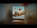 Babehoven - Lasagna