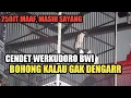 Lagu CENDET WERKUDORO DI TAWAR 250JT, MAAF MASIH SAYANG