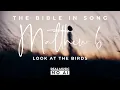 Matthew 6 - Look At the Birds Bible in Song NO AI