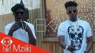 chege ft xelimpilo uhuru weka official music video 
