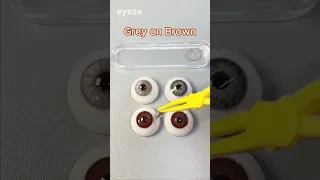 Gray Contact Lenses On Brown Eyes The Contrast Is Absolutely Stunning Lenses Contactlense 