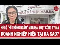 Lagu Hé lộ “hệ thống ngầm” Mailisa: Loạt công ty ma, doanh nghiệp hiện tại ra sao?