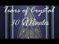 Tears of Crystal: EXTENDED