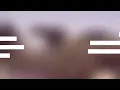 شيلة صوب كساب النواميس