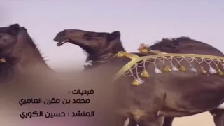 شيلة صوب كساب النواميس دندنها
